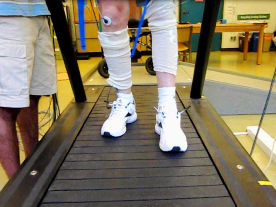 Efficacy of cycling rehabilitation on post-stroke locomotion - UBC ...