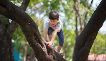 Why your kids should take risks while playing outdoors this summer