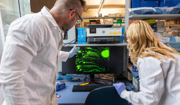 Dr. Mark Cembrowski (left) and Adrienne Kinman (right) observe a microscopic image of ovoid cells, showing their unique structure and morphology within the brain.